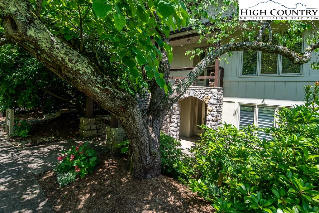Image number 17 for the current listing