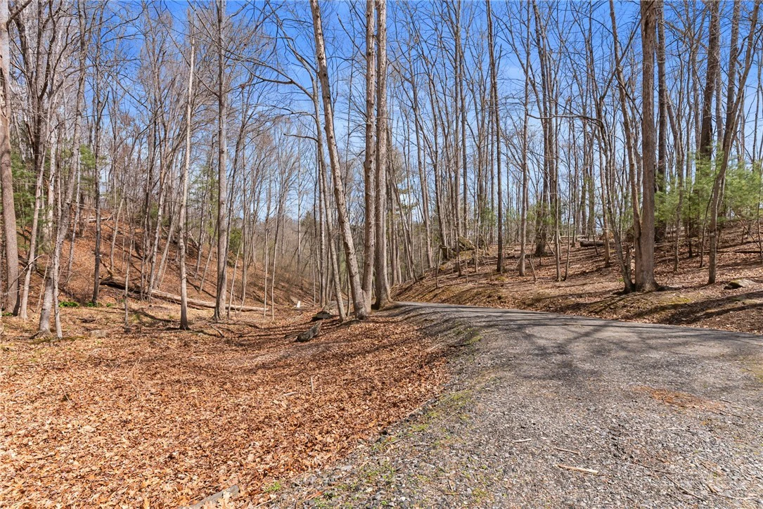 Image number 14 for the current listing