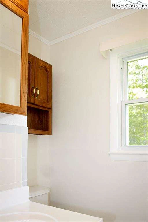 Image number 12 for the current listing