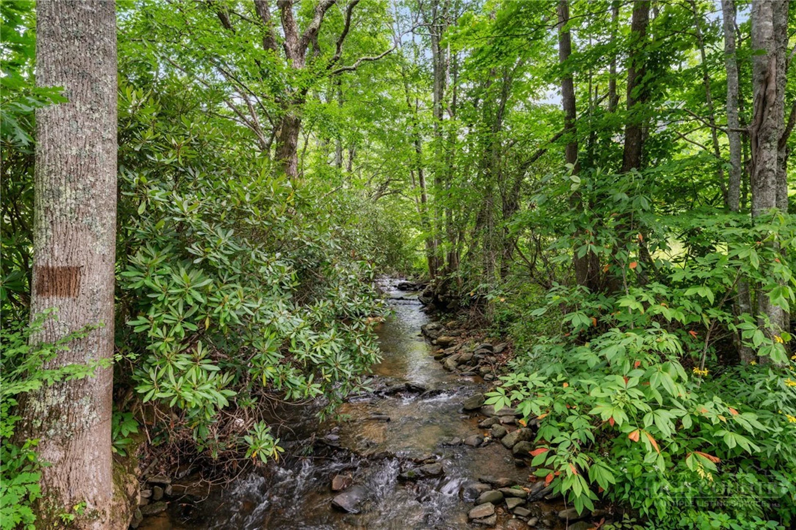 Image number 9 for the current listing