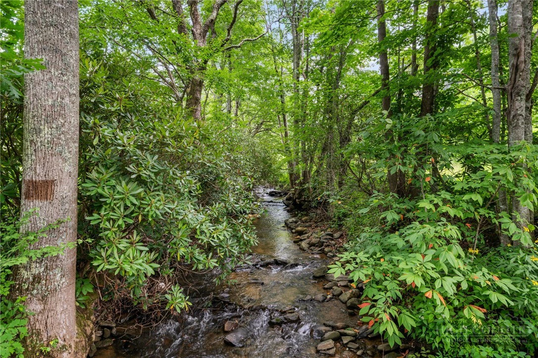 Image number 9 for the current listing