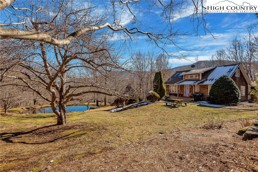 Image number 1 for the current listing