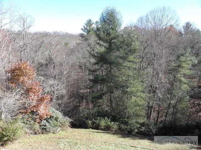 Image number 16 for the current listing