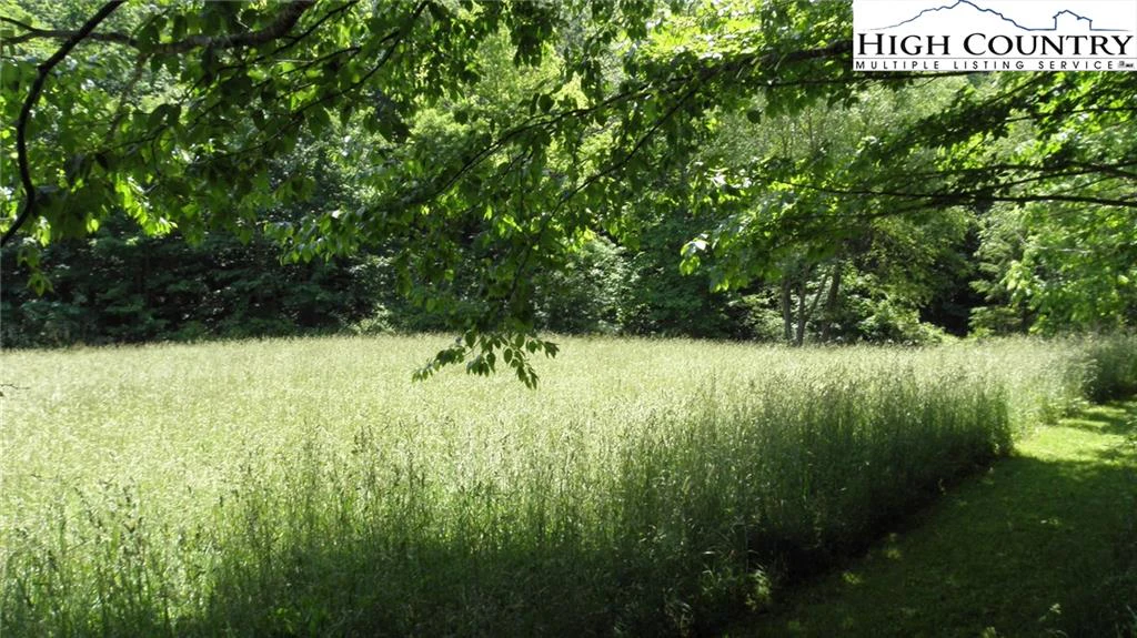 Image number 2 for the current listing