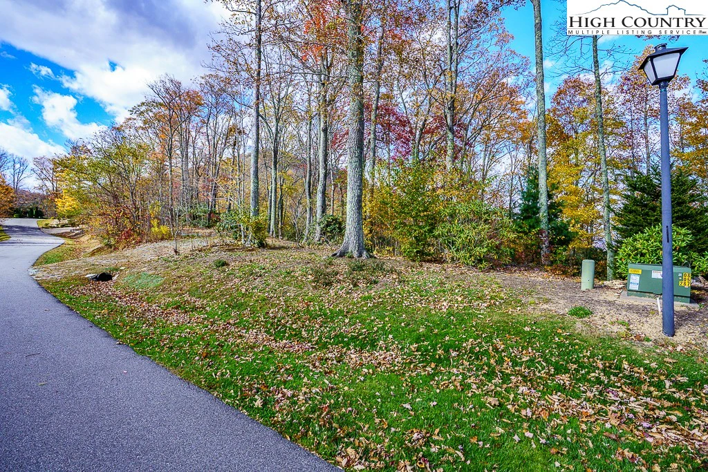 Image number 5 for the current listing