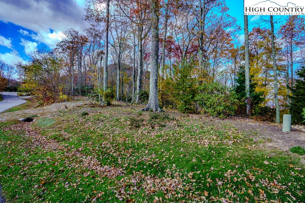 Image number 4 for the current listing