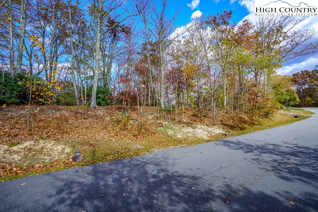 Image number 9 for the current listing
