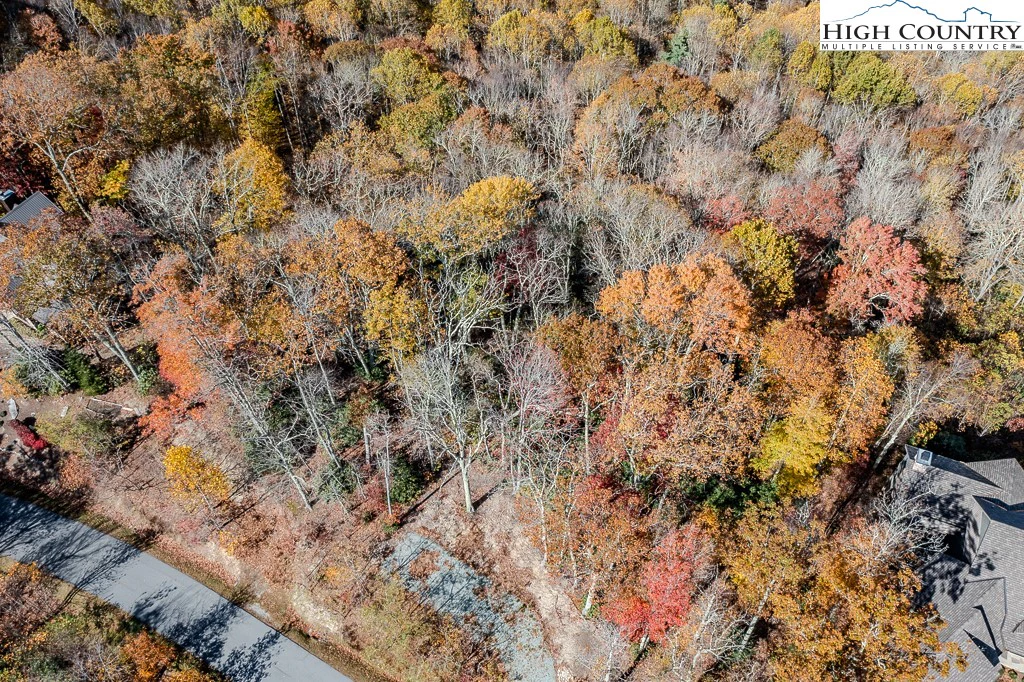 Image number 1 for the current listing