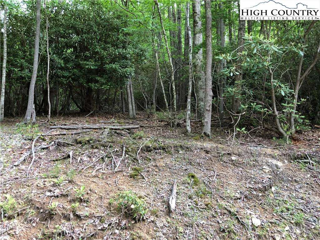 Image number 1 for the current listing