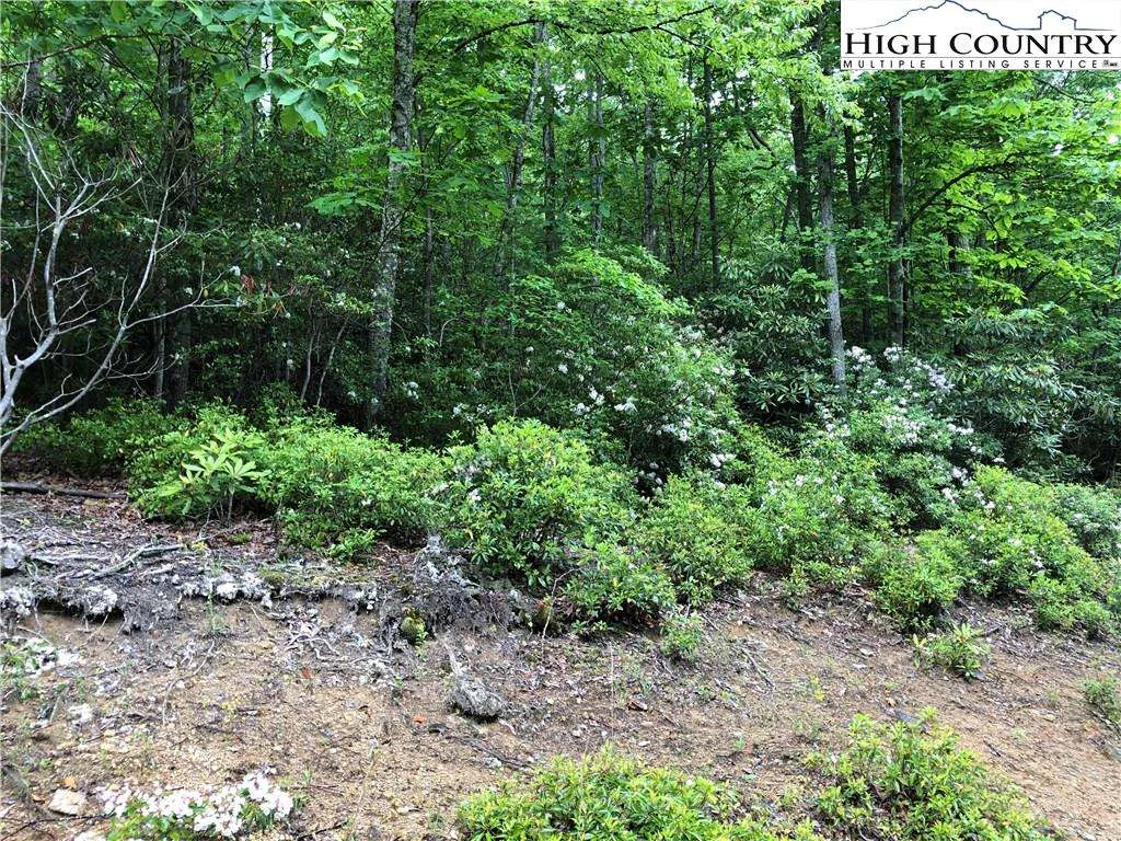 Image number 5 for the current listing