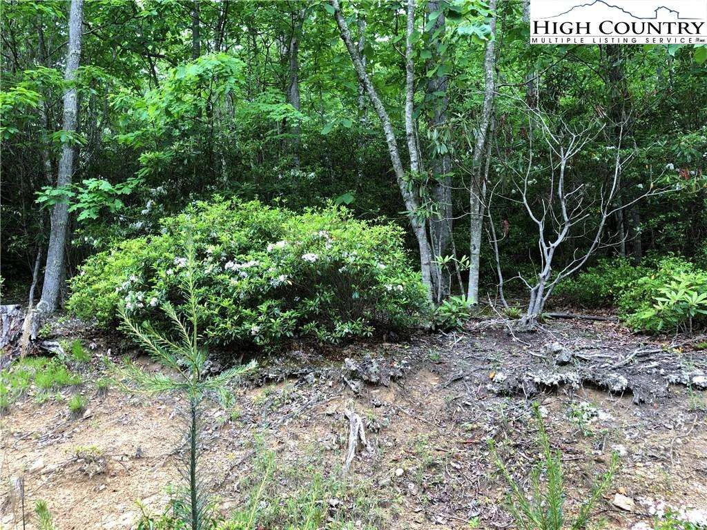 Image number 6 for the current listing