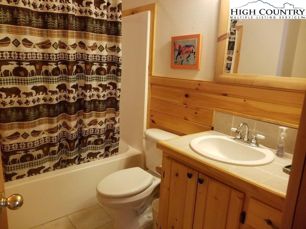 Image number 3 for the current listing