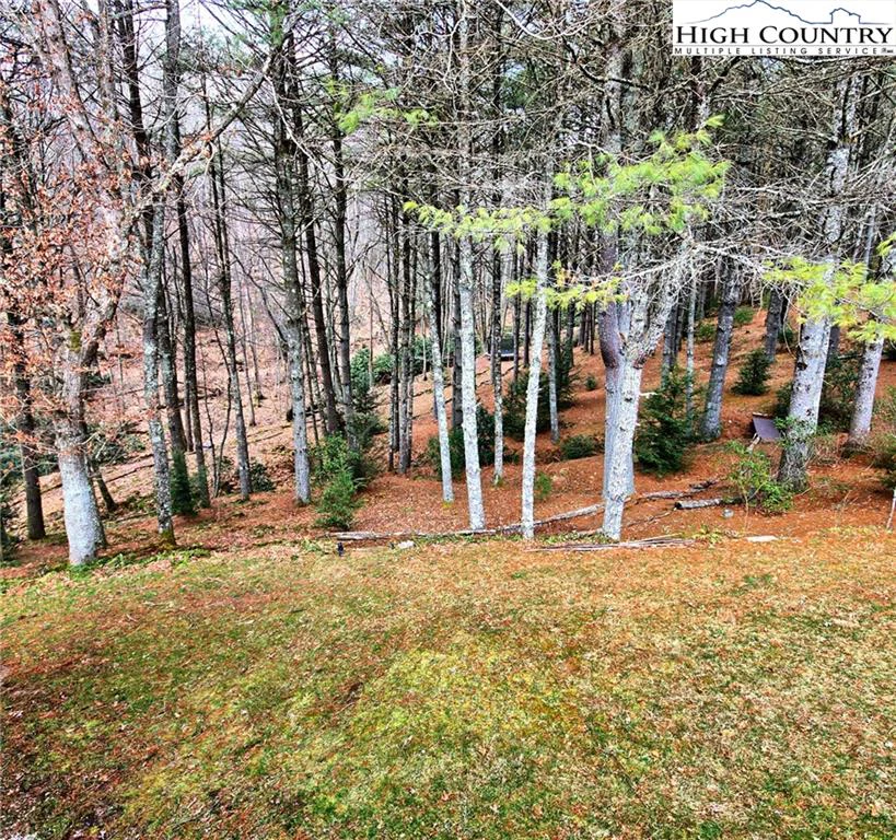 Image number 10 for the current listing
