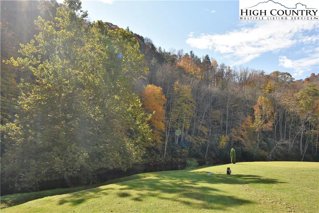 Image number 4 for the current listing