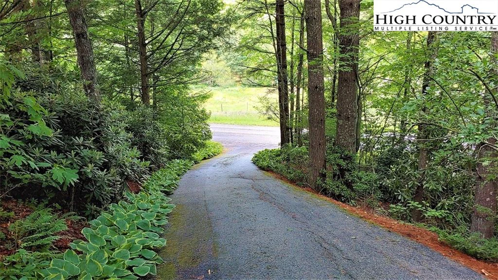 Image number 8 for the current listing