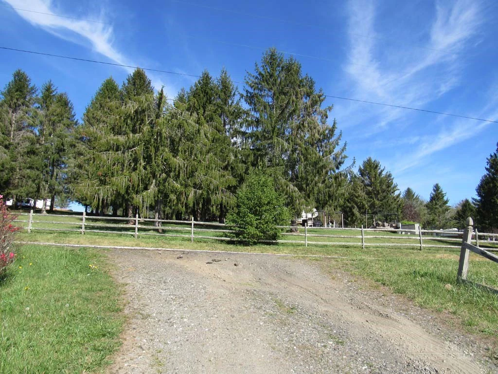 Image number 15 for the current listing