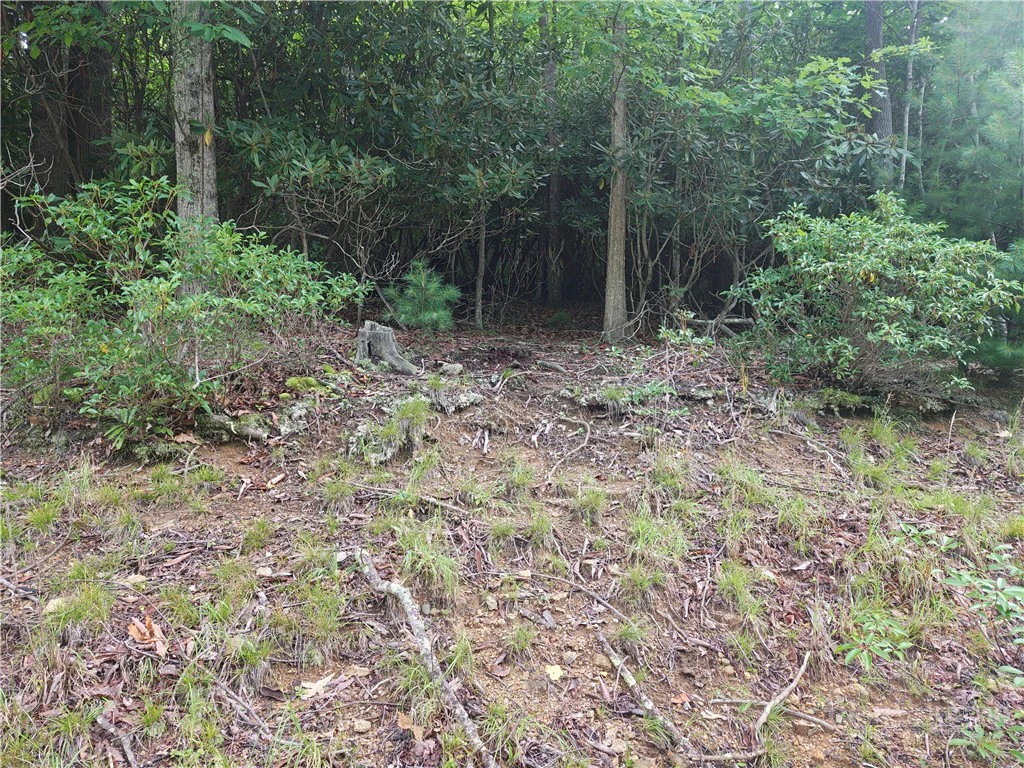 Image number 2 for the current listing