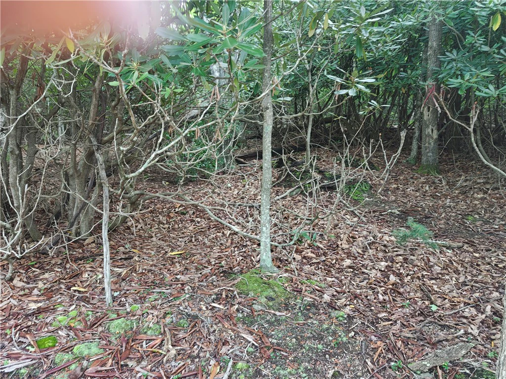 Image number 3 for the current listing