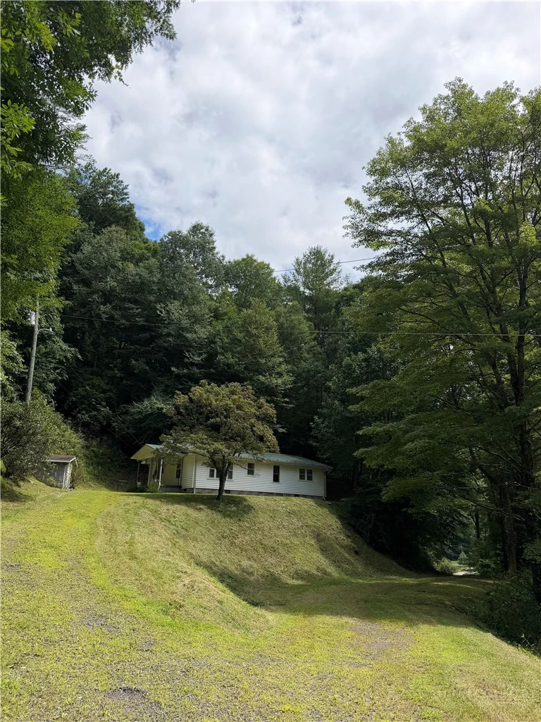 Image number 1 for the current listing