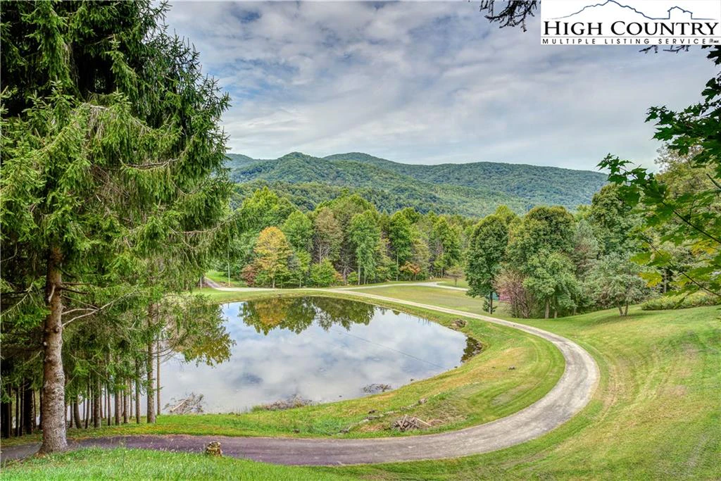Image number 1 for the current listing