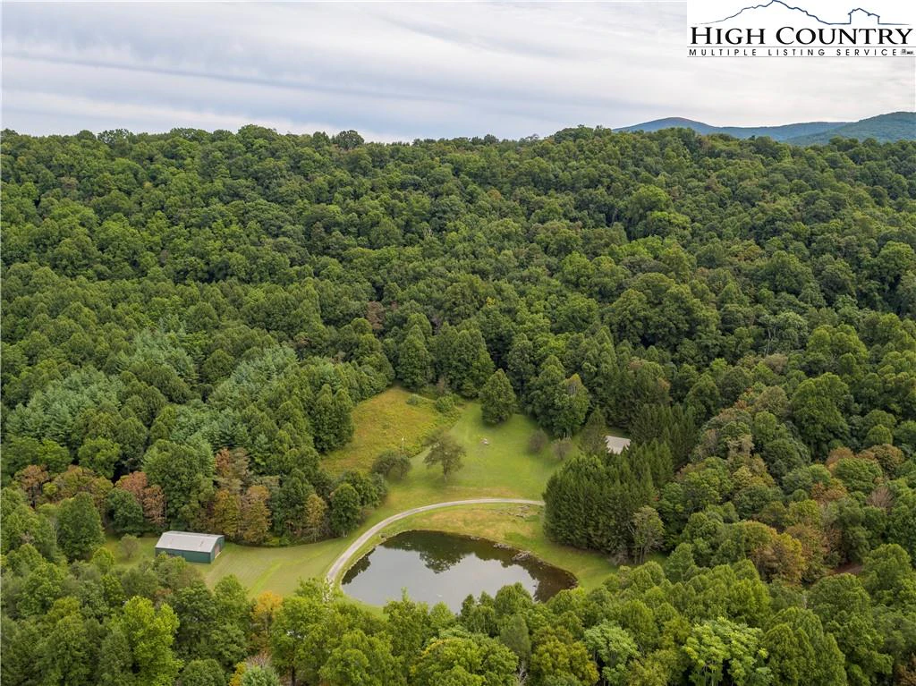Image number 3 for the current listing