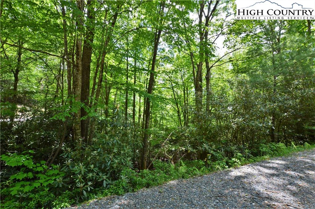Image number 1 for the current listing