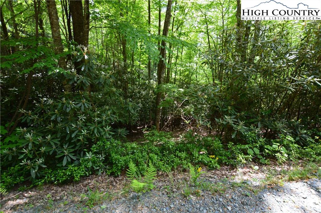 Image number 3 for the current listing