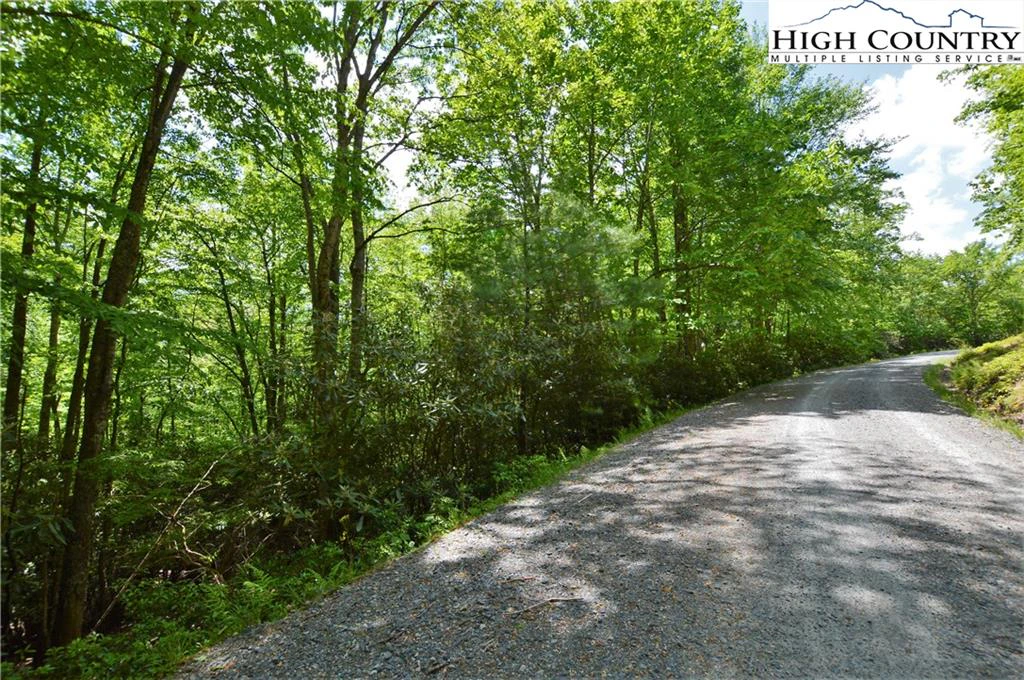 Image number 4 for the current listing
