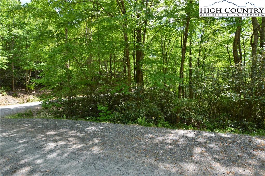Image number 5 for the current listing