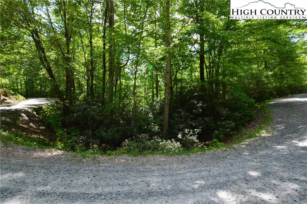 Image number 6 for the current listing