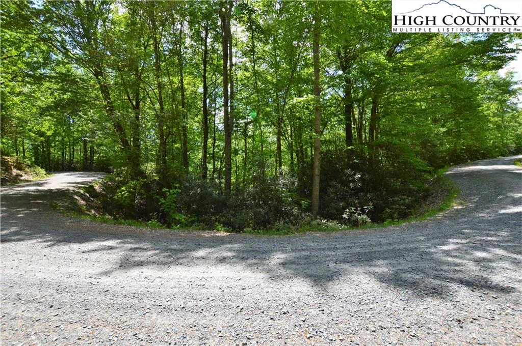Image number 7 for the current listing