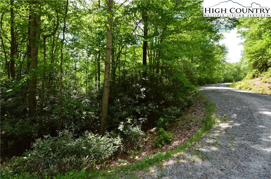 Image number 8 for the current listing