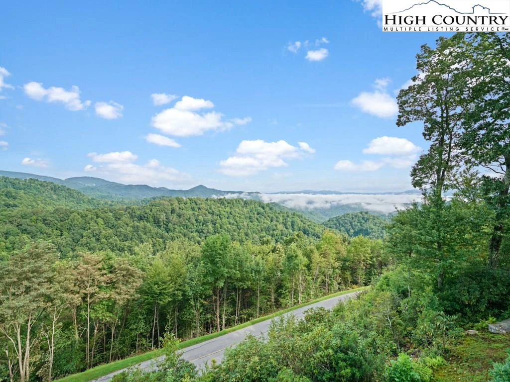 Image number 1 for the current listing