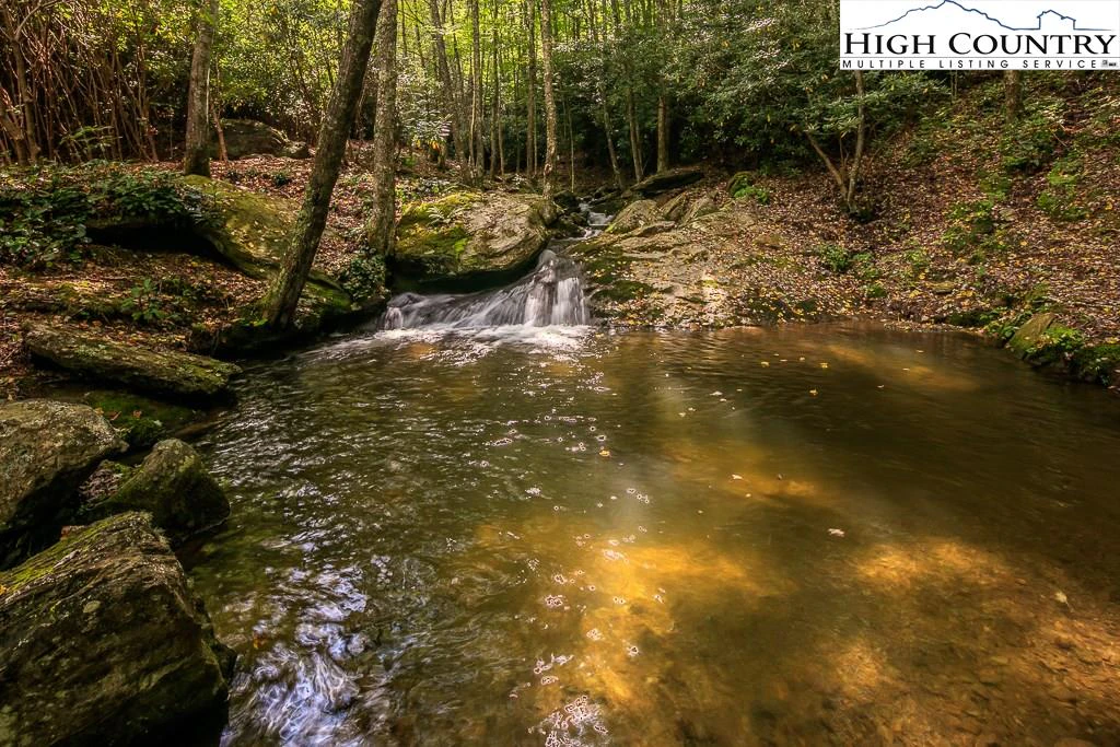 Image number 5 for the current listing