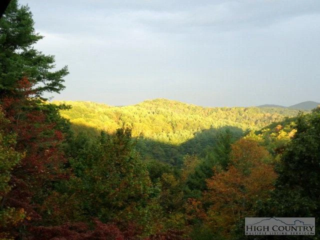 Image number 2 for the current listing