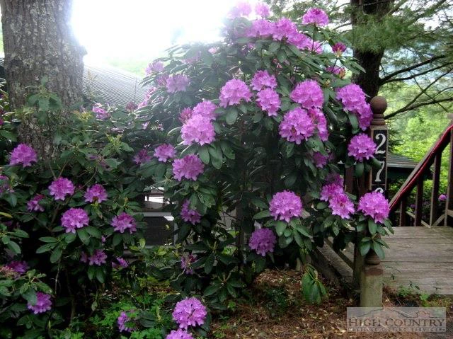 Image number 13 for the current listing