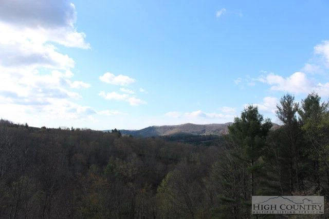 Image number 12 for the current listing