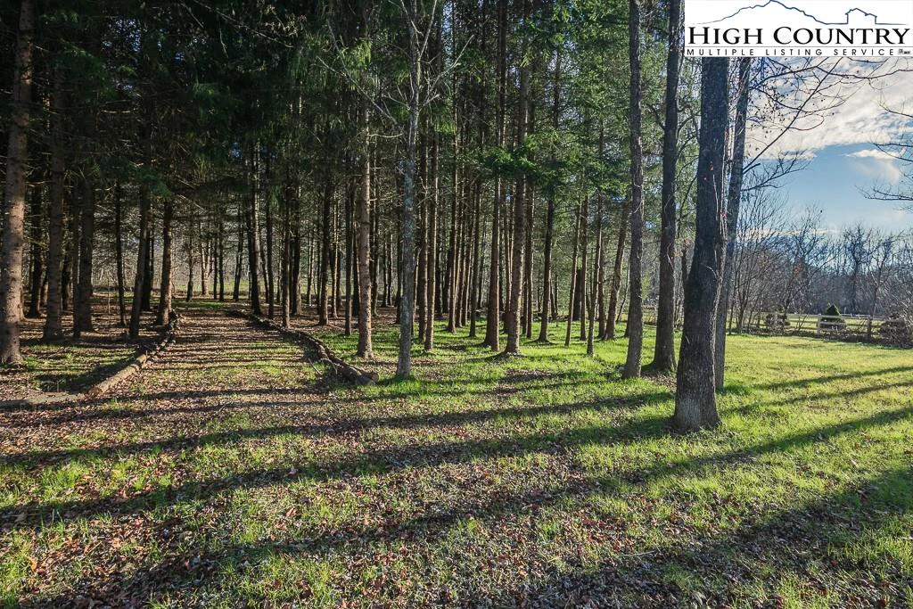 Image number 18 for the current listing