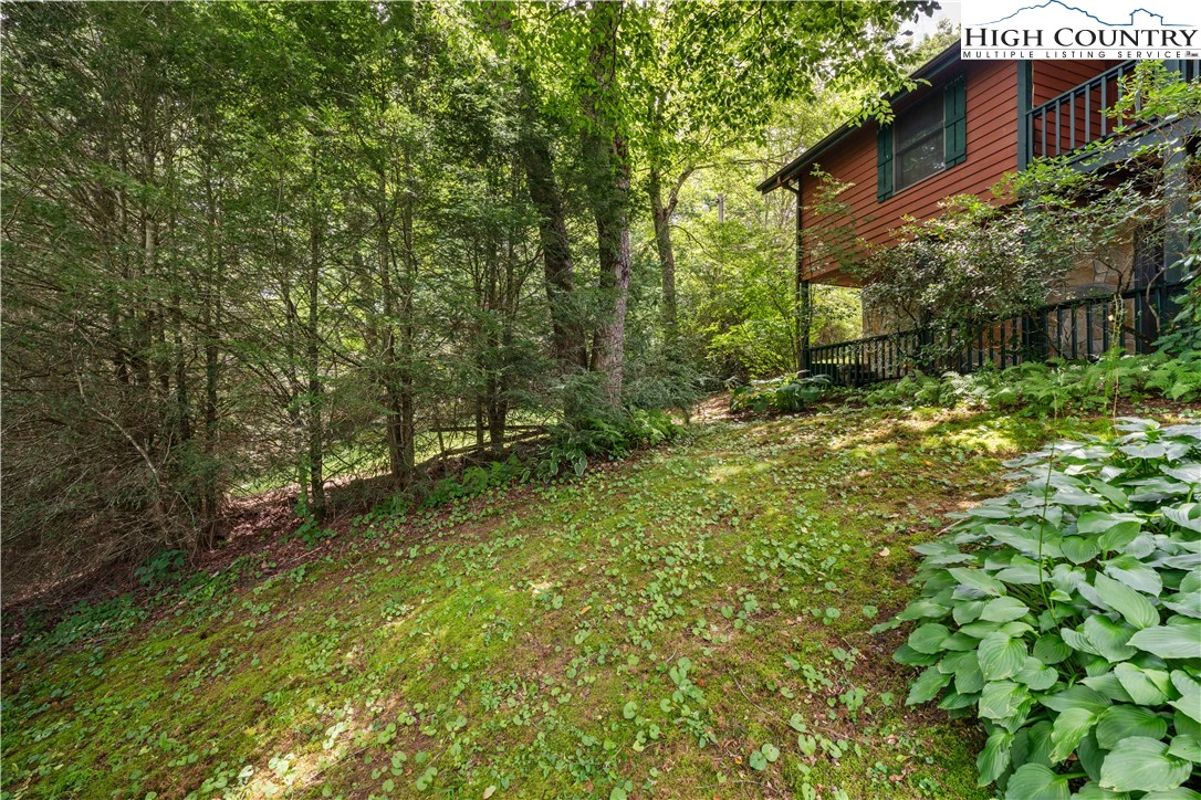 Image number 12 for the current listing