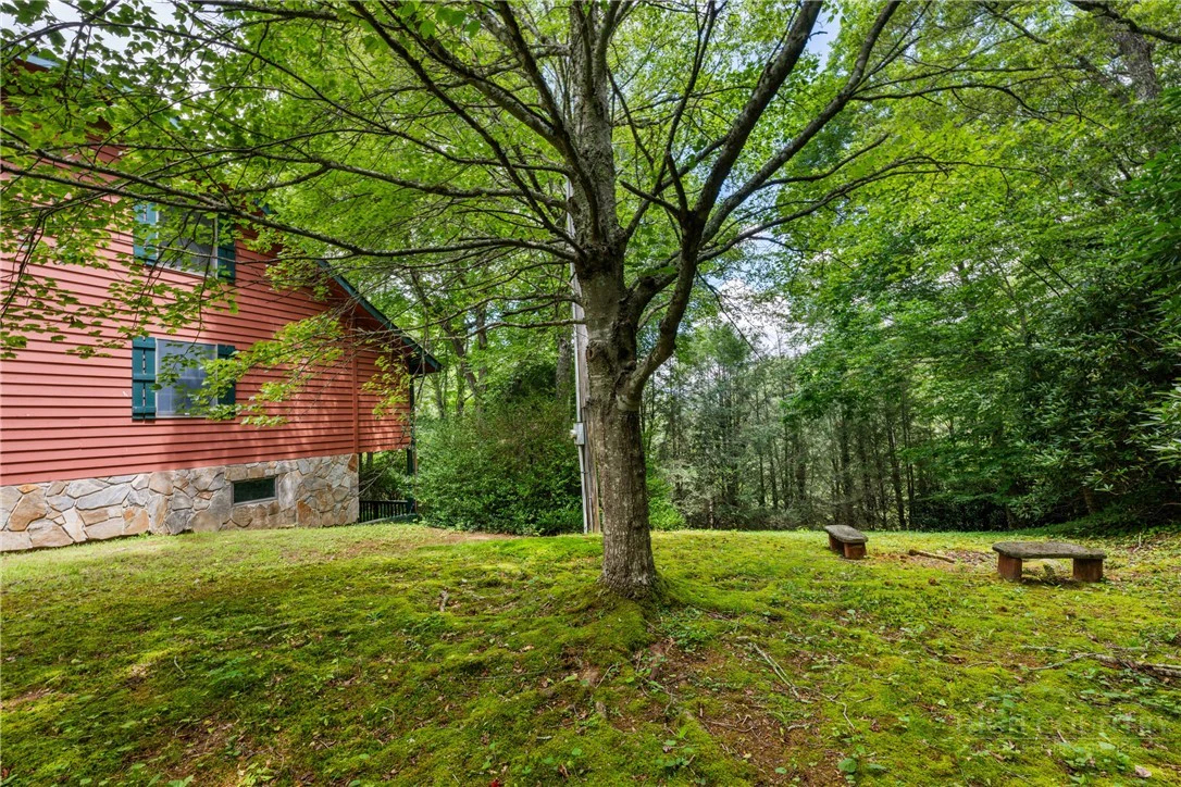 Image number 11 for the current listing