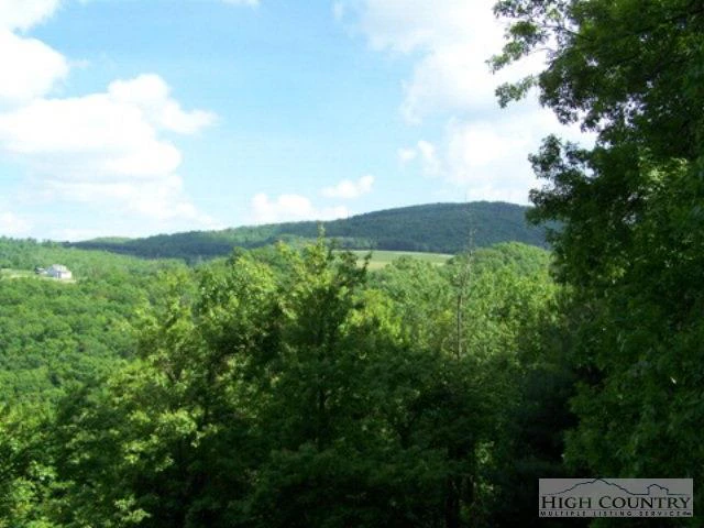 Image number 4 for the current listing