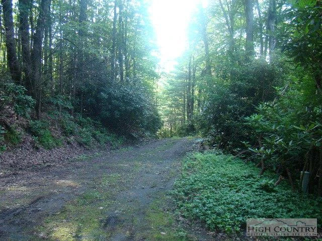Image number 1 for the current listing