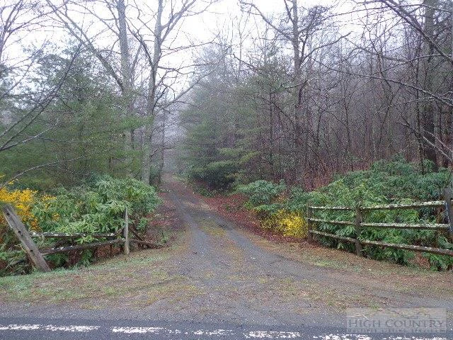 Image number 3 for the current listing