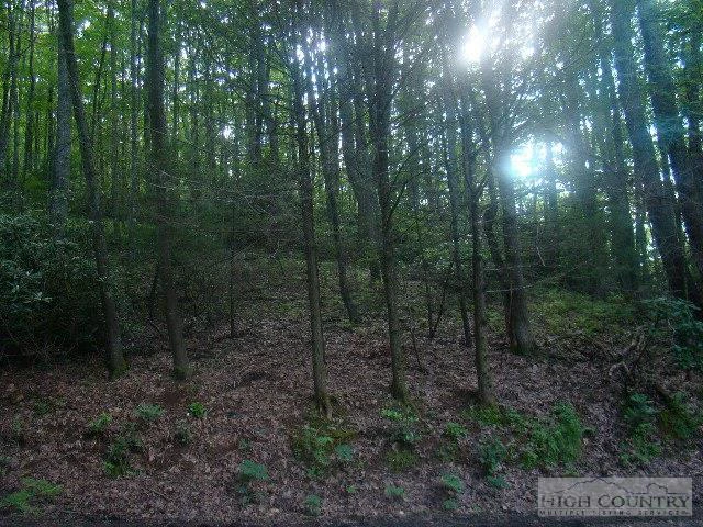 Image number 5 for the current listing