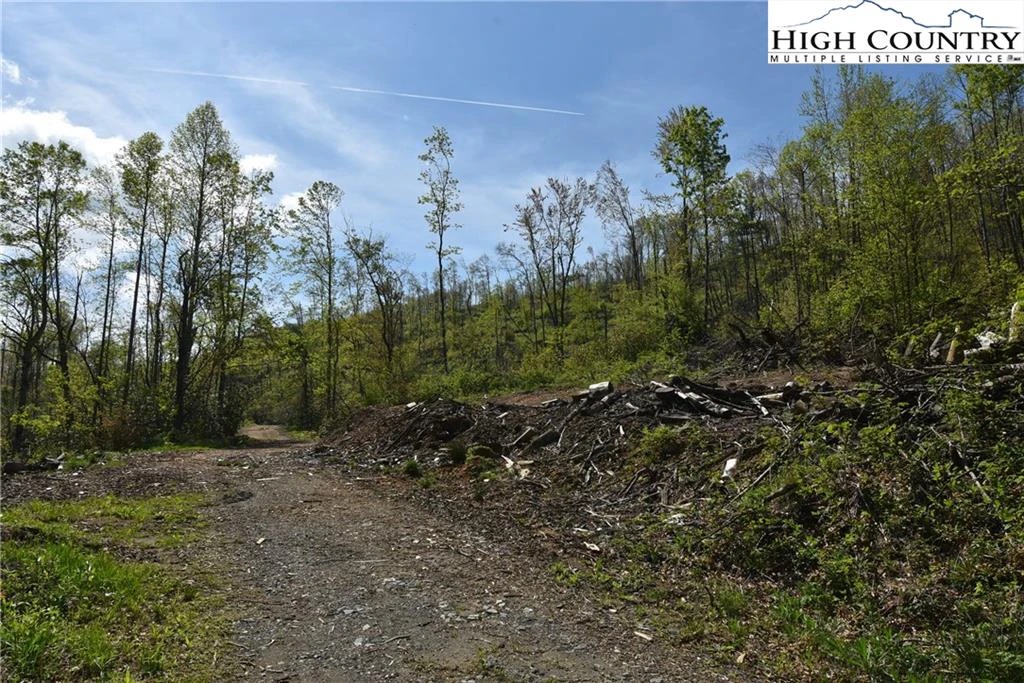 Image number 4 for the current listing