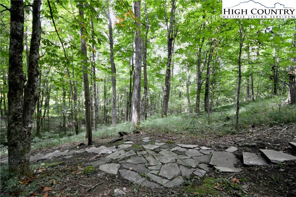 Image number 16 for the current listing