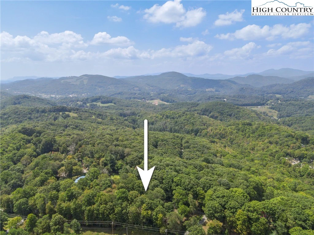 Image number 4 for the current listing