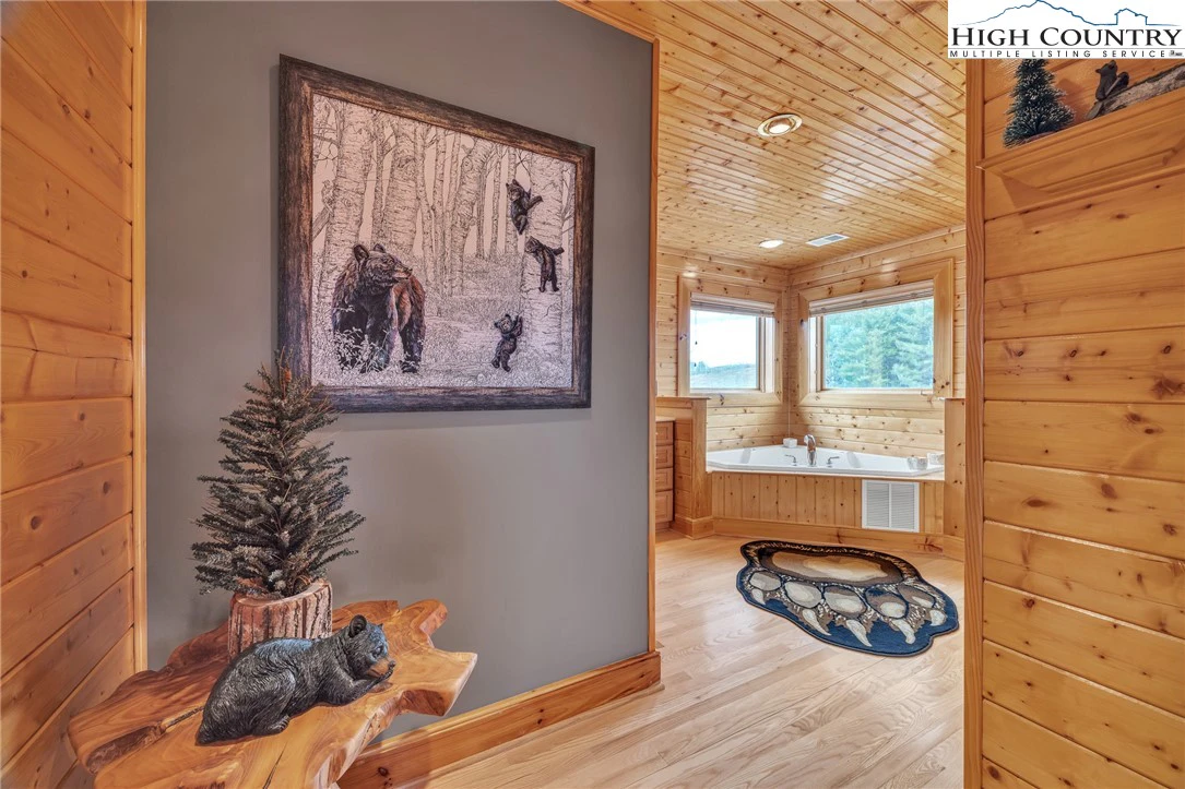Image number 11 for the current listing