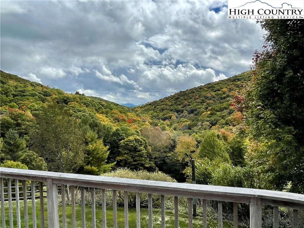 Image number 2 for the current listing
