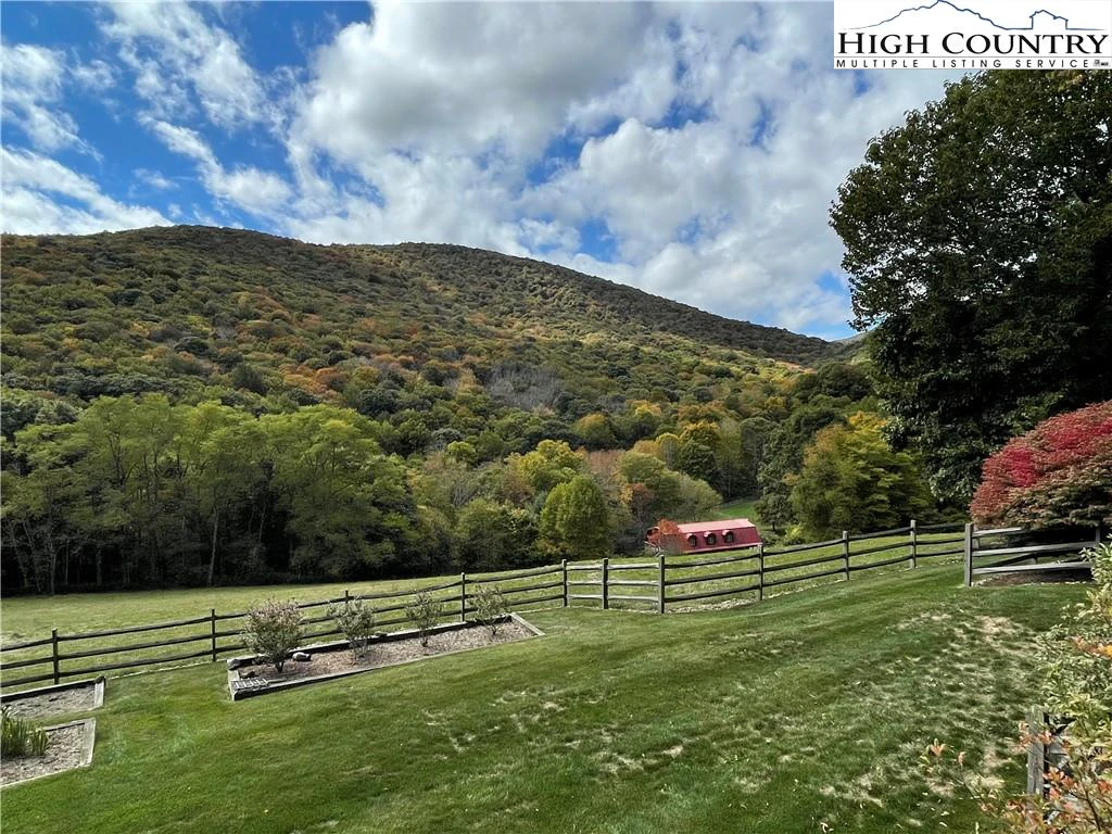 Image number 14 for the current listing